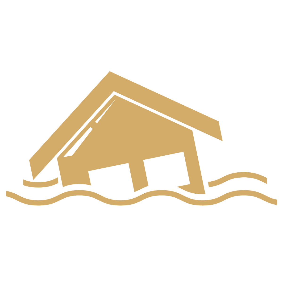 flood insurance claims gold icon